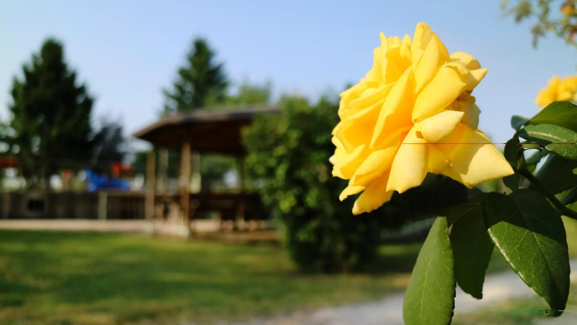 Agriturismo Ai Vigneti Ponti sul Mincio Itálie